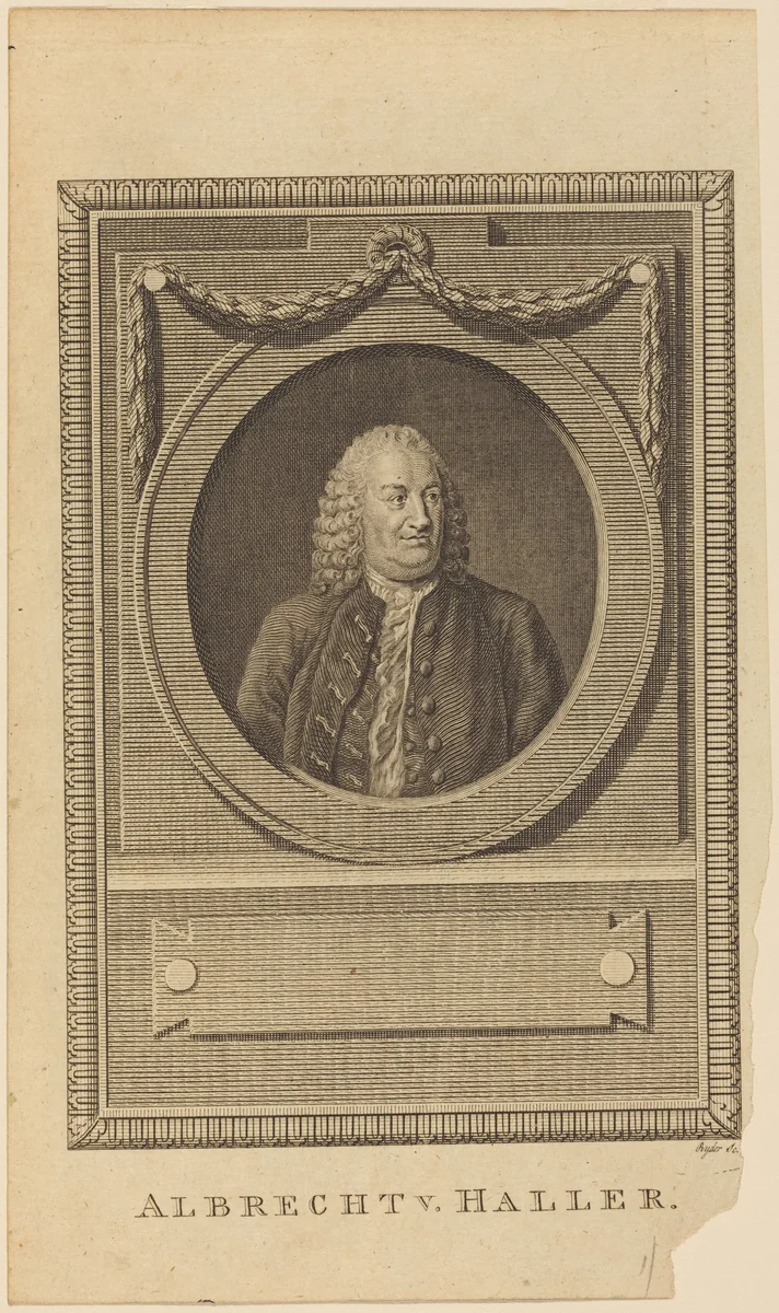 Albrecht V. Haller by Thomas Ryder, print, 1775-1785