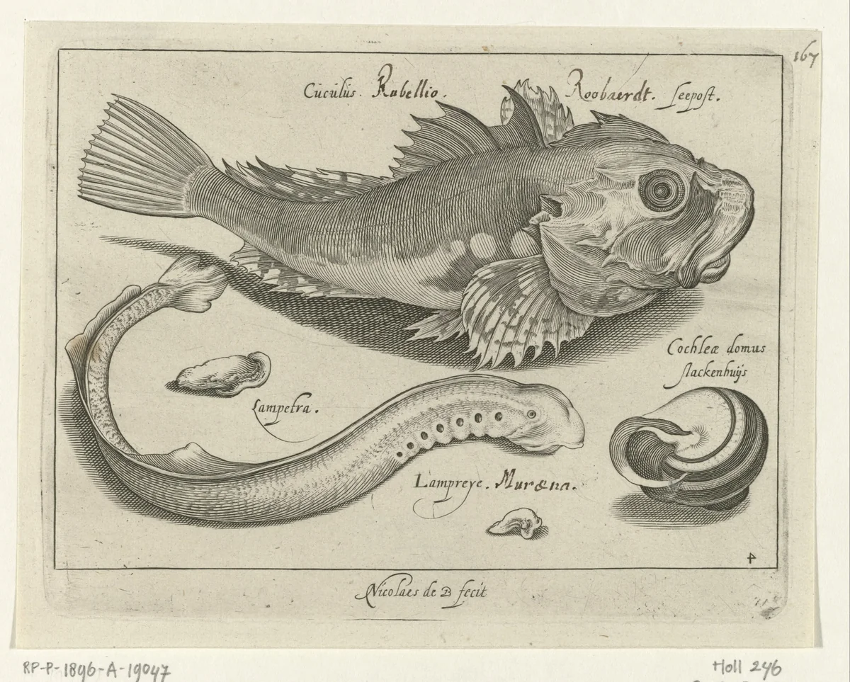 Poon, prik en slakkehuis by Unknown, print, 1581-1656