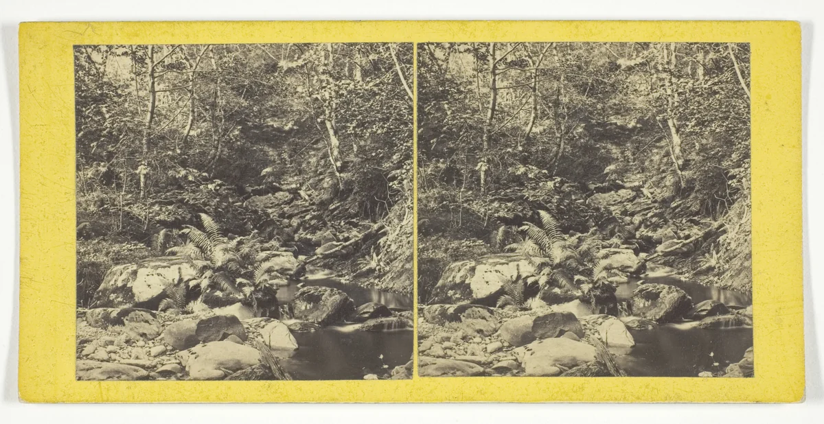 Bit in the Trossachs by G. W. Wilson, photograph, 1850-1874