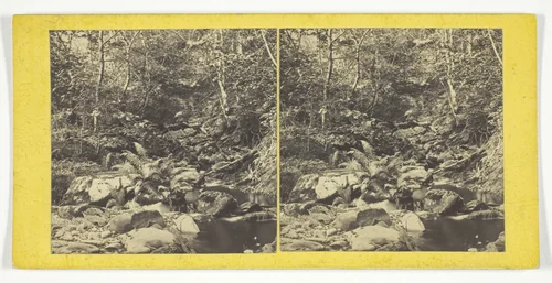 Bit in the Trossachs by G. W. Wilson, photograph, 1850-1874