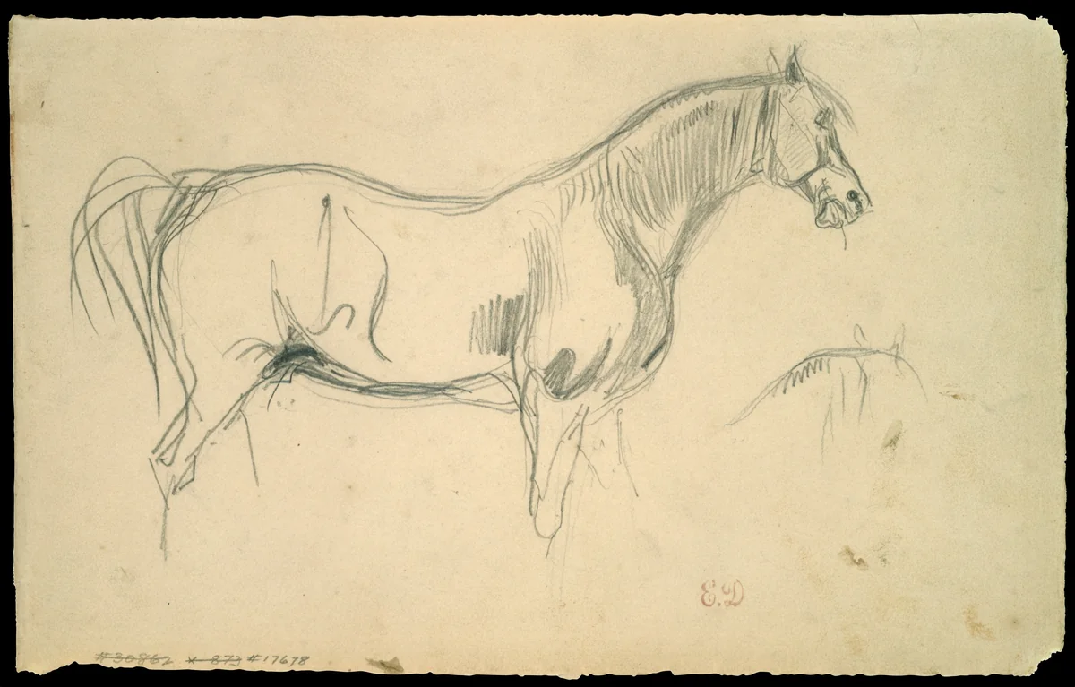 Studies of a Horse in Profile by Eugène Delacroix, drawing, 1823-1830