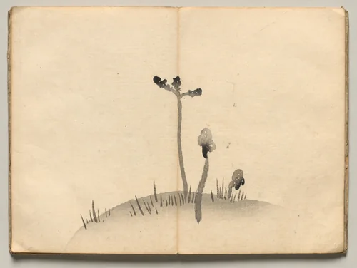 Bracken from Ōkyo Picture Book by Maruyama Ōkyo (円山応挙), book, 1850