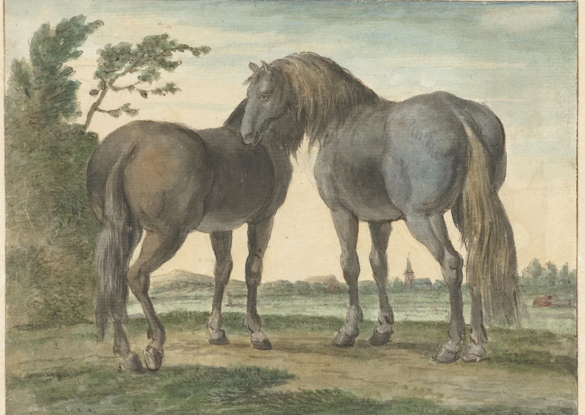 Twee paarden in een weide, op de achtergrond een kerktoren by Hendrik Stokvisch, drawing, 1778-1820
