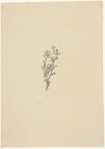 Giant Aphid (Riesenblattlaus) by Paul Klee, print, 1920