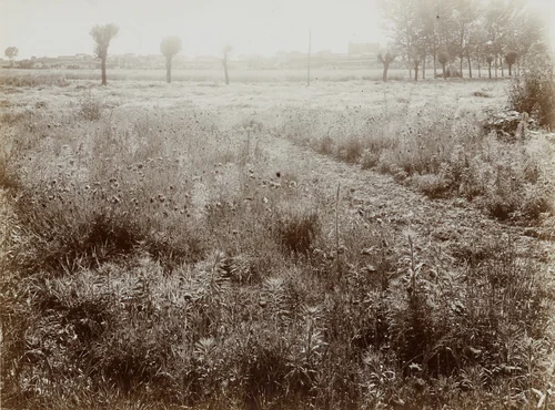 Untitled by Mario Gabinio, photograph, 1923
