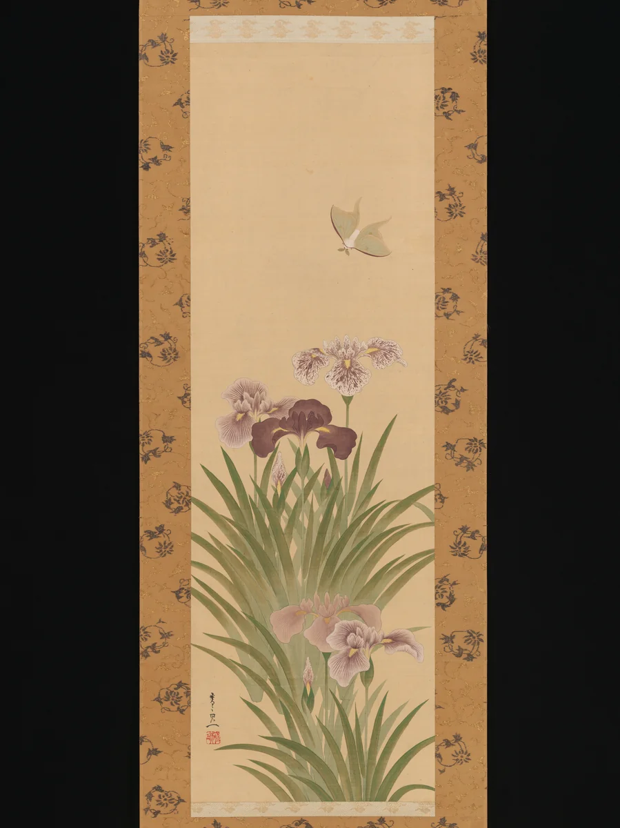 Irises and Moth by Suzuki Kiitsu (鈴木基一), painting, 1840-1860