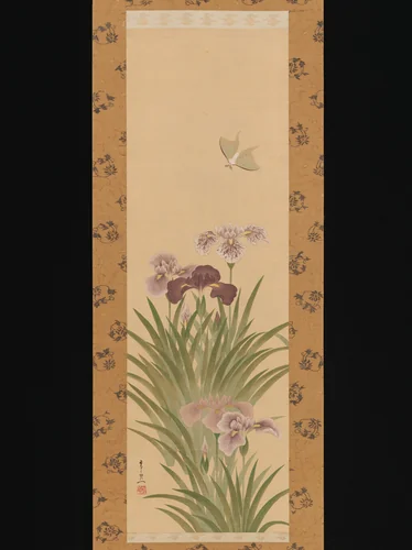 Irises and Moth by Suzuki Kiitsu (鈴木基一), painting, 1840-1860