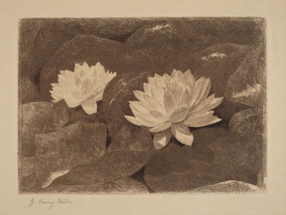 Waterlilies by John Henry Hill, print, 1865-1875
