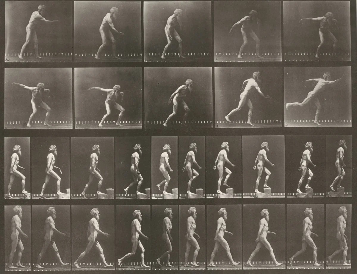 Plate Number 519. A: Throwing a disk. B: Ascending a step. C: Walking by Eadweard Muybridge, photograph, 1887