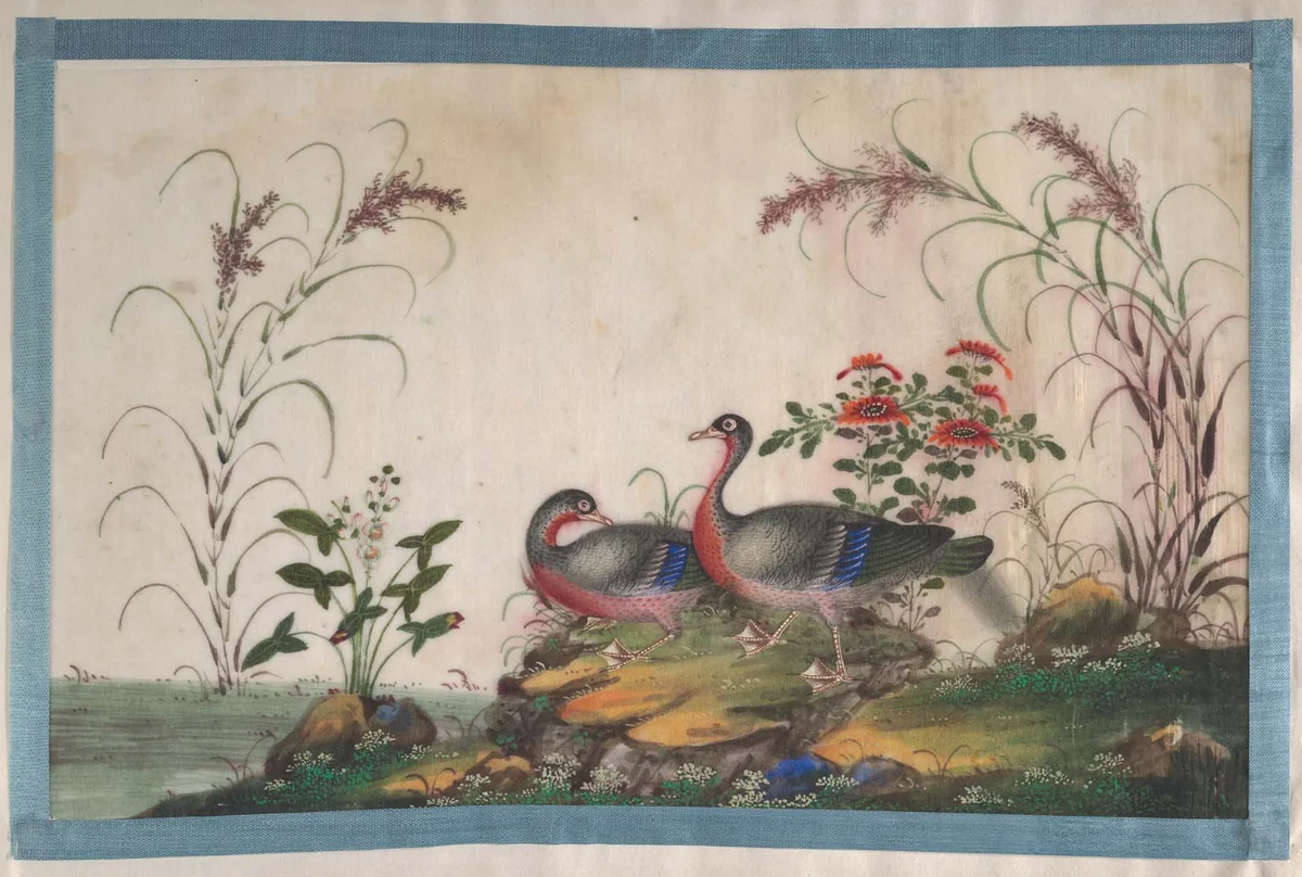 Album Containing Twelve Paintings of Birds by Unidentified Artist, painting, 1800-1899
