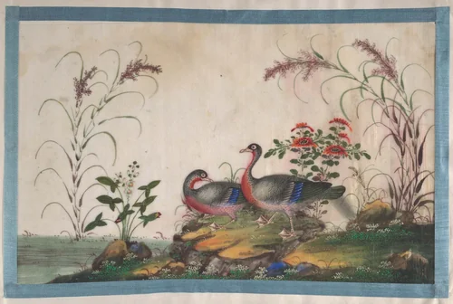 Album Containing Twelve Paintings of Birds by Unidentified Artist, painting, 1800-1899
