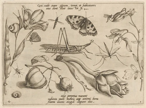 Archetypa studiaque patris Georgii Hoefnagelii [Part 1, Plate 4] by Jacob Hoefnagel; Joris Hoefnagel, print, 1592