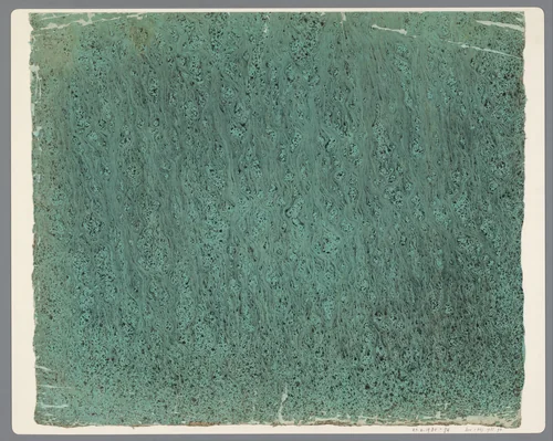 Stroommarmer in zwart op groen papier by anonymous, other, 1850-1970