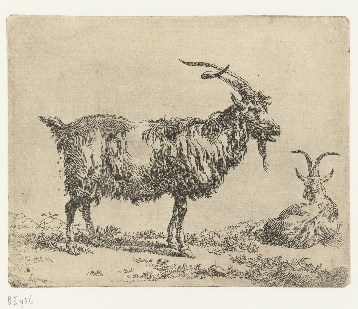 Twee geiten by Nicolaes Pietersz Berchem, print, 1648-1652