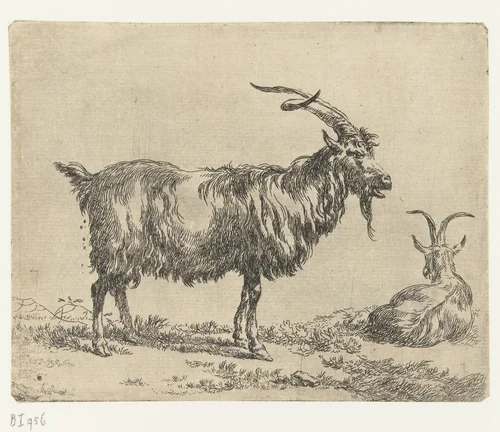 Twee geiten by Nicolaes Pietersz Berchem, print, 1648-1652