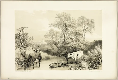 Thorn, Willow, Beech and Birch, from The Park and the Forest by James Duffield Harding, print, 1841