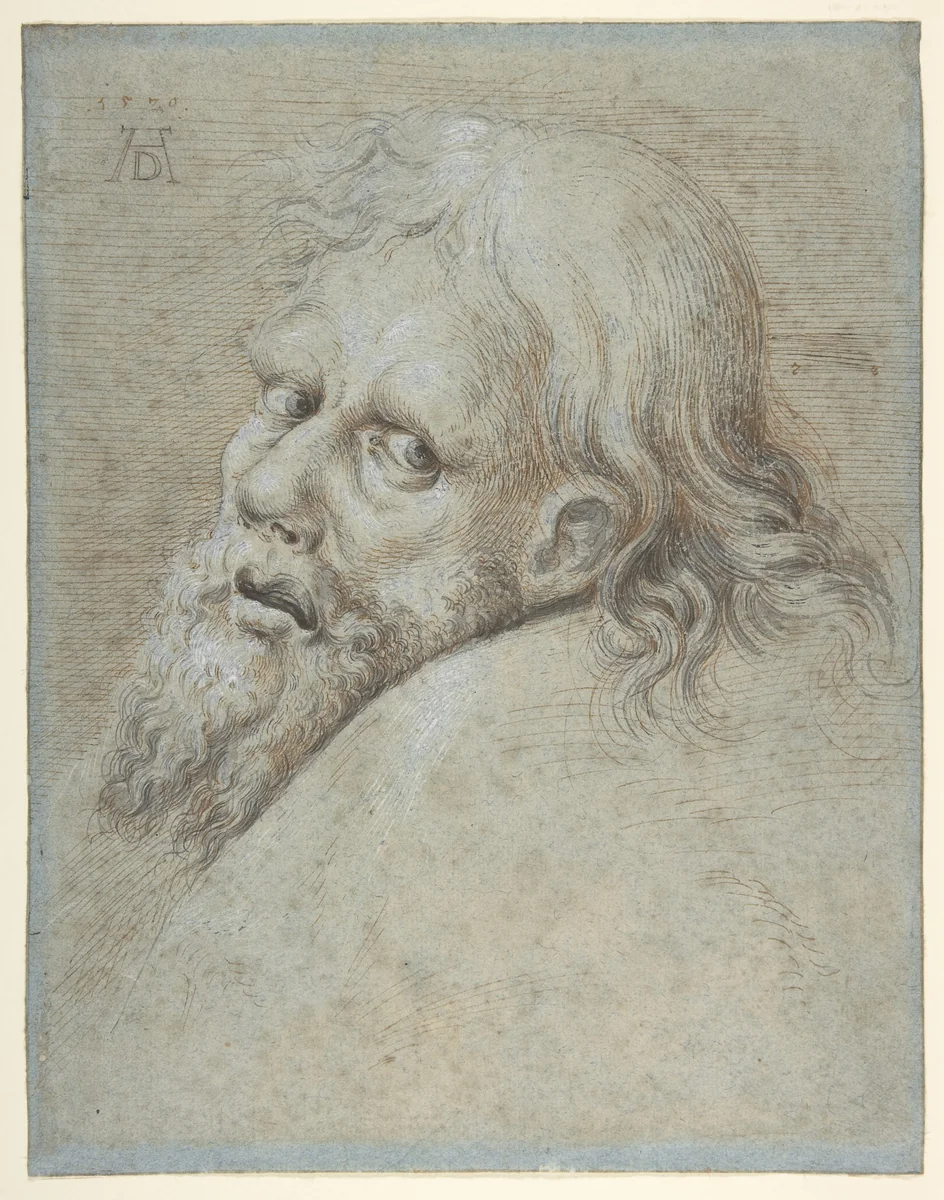 Head of a Bearded Man by Hans Hoffmann, drawing, 1579