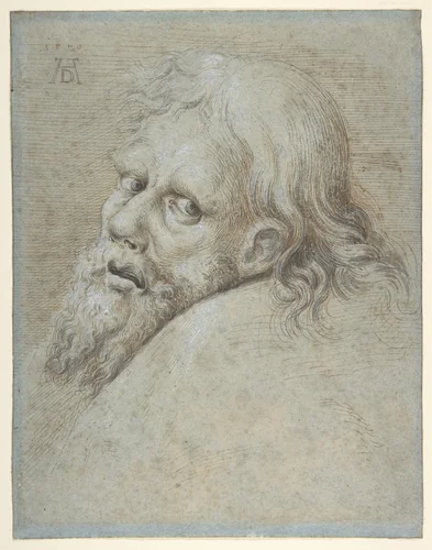 Head of a Bearded Man by Hans Hoffmann, drawing, 1579