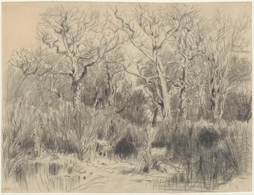 Trees in a Thicket by Théodore Rousseau, drawing, 1845