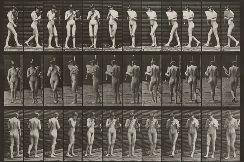 Plate Number 46. Walking, flirting a fan and turning around by Eadweard Muybridge, photograph, 1887