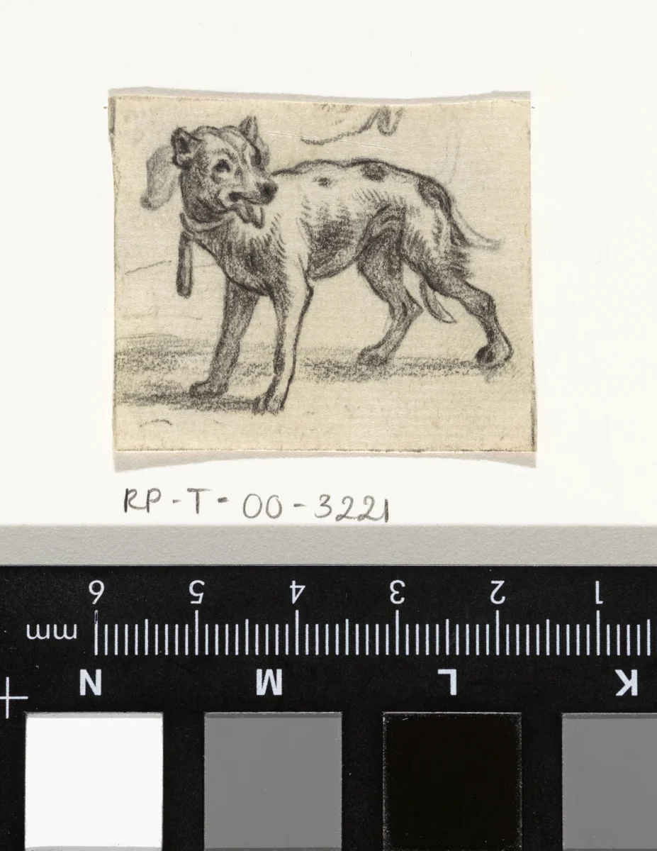 Staande hond met de tong uit de bek by Abraham Hendrik Winter, drawing, 1815-1860