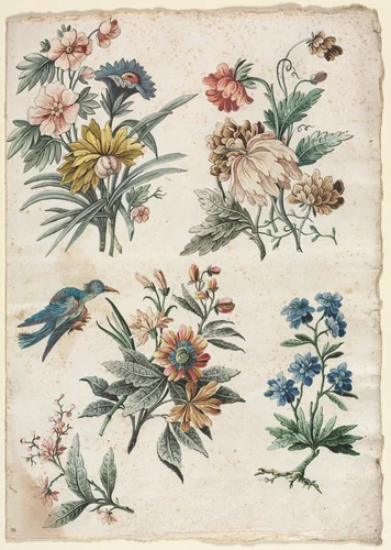 Floral Designs with a Blue Bird by Giacomo Cavenezia, drawing, 1773-1774