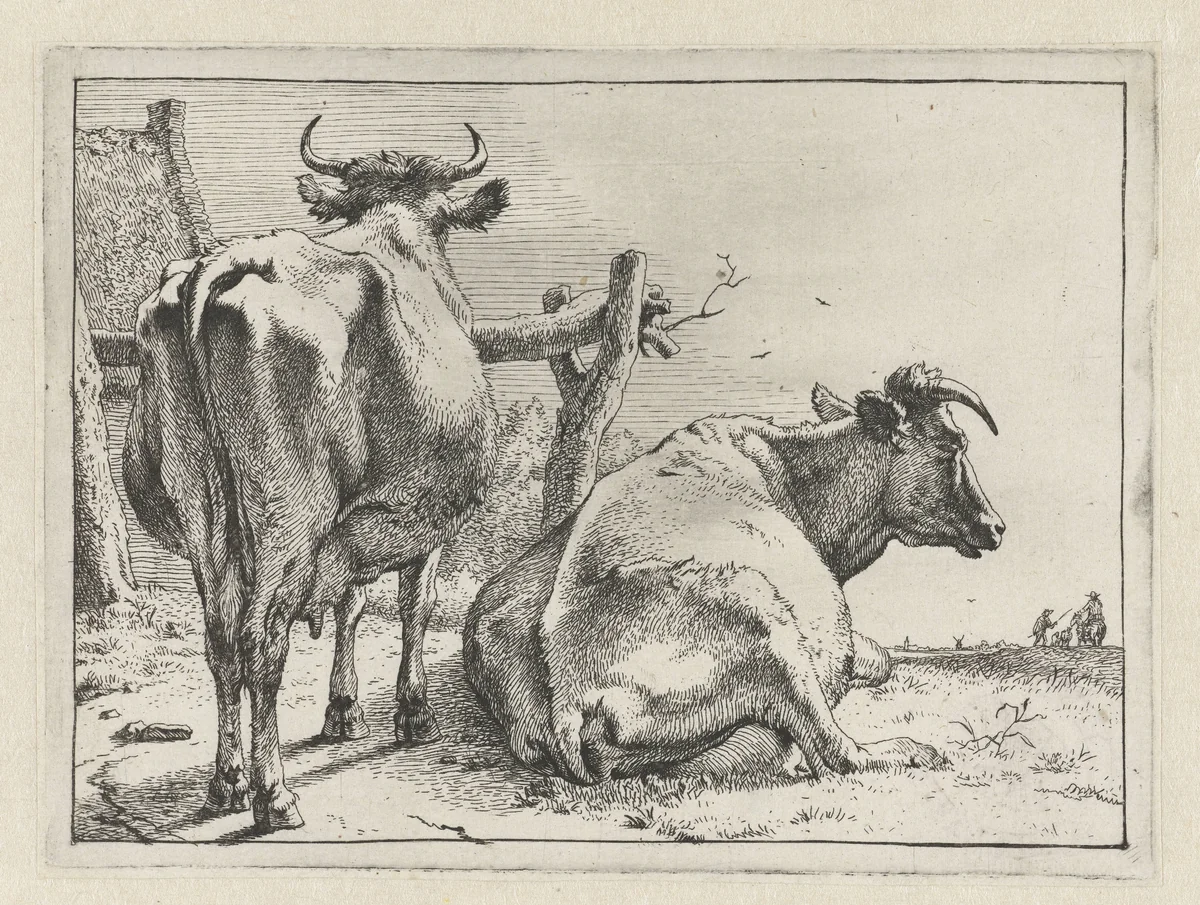 Twee koeien van achteren gezien by Paulus Potter, print, 1650