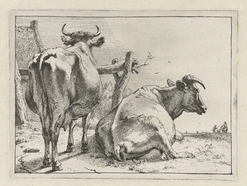 Twee koeien van achteren gezien by Paulus Potter, print, 1650