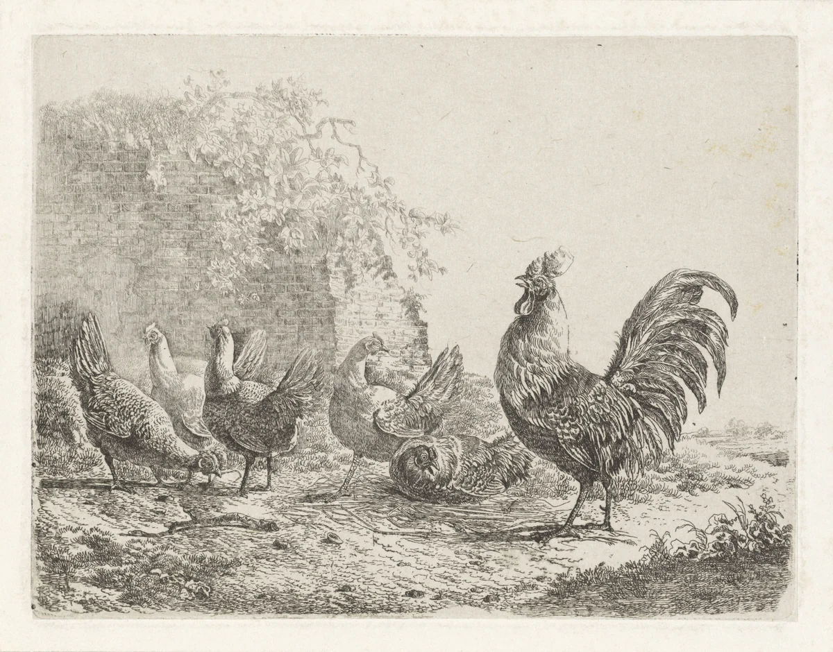 Haan met vijf kippen by Albertus Verhoesen, print, 1816-1881
