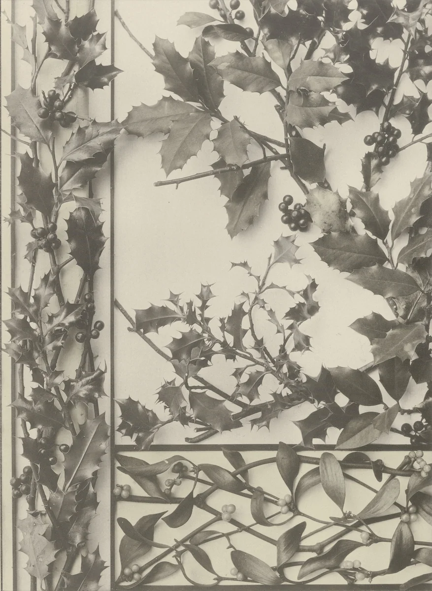 Page from Festons und Dekorative Gruppen by Unidentified Photographer, photograph, 1893