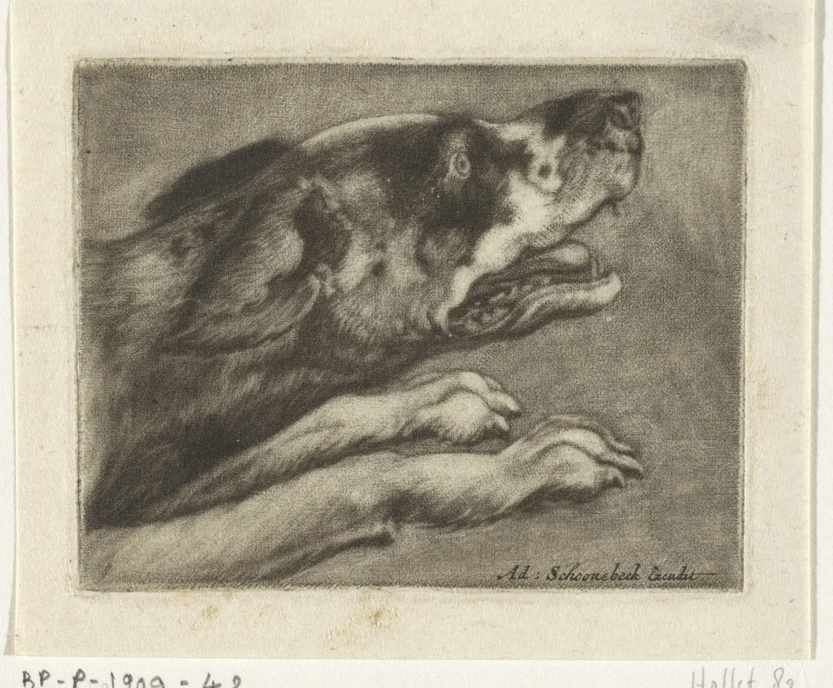 Kop en voorpoten van een blaffende hond by anonymous, print, 1670-1714