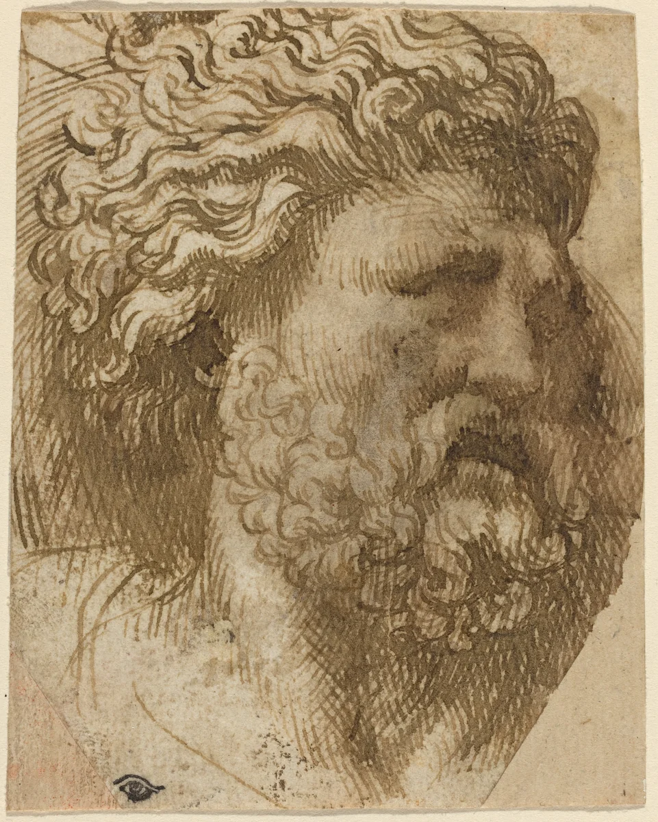 Head of a Man by Domenico Campagnola, drawing, 1500-1564