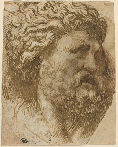 Head of a Man by Domenico Campagnola, drawing, 1500-1564