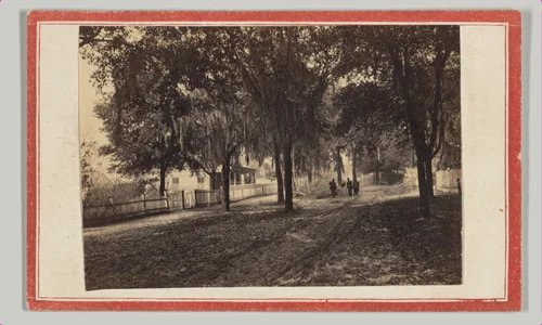 [Street Scene with Soldiers, Jacksonville, Florida] by Edward Sinclair, photograph, 1864