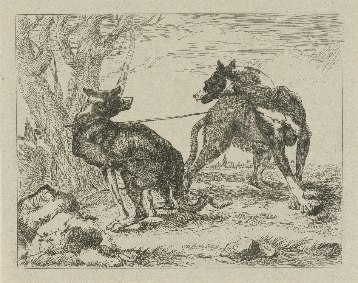 Twee honden by anonymous, print, 1642-1711