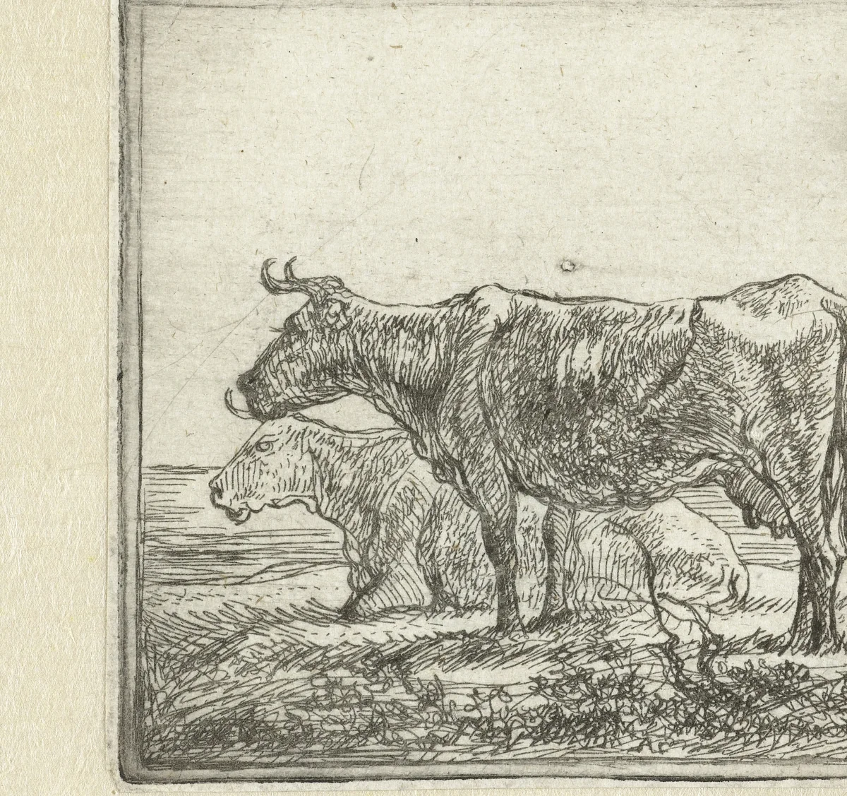 Twee koeien op rivieroever by Aelbert Cuyp, print, 1630-1691