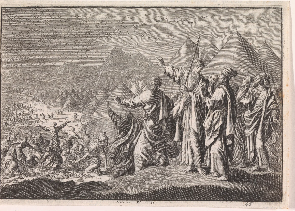 Kwartels in de woestijn by Jan Luyken, print, 1703-1762