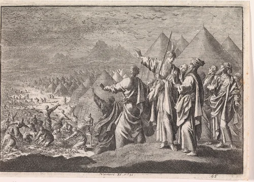 Kwartels in de woestijn by Jan Luyken, print, 1703-1762