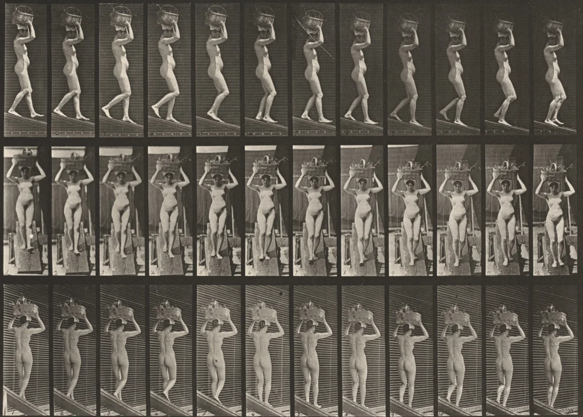 Plate Number 123. Descending an incline with a 20-lb. basket on head, hands raised by Eadweard Muybridge, photograph, 1887