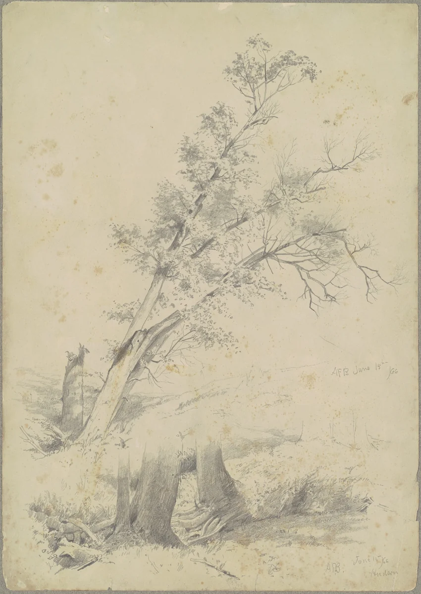 Trees, Hudson by Andrew Fisher Bunner, drawing, 1866