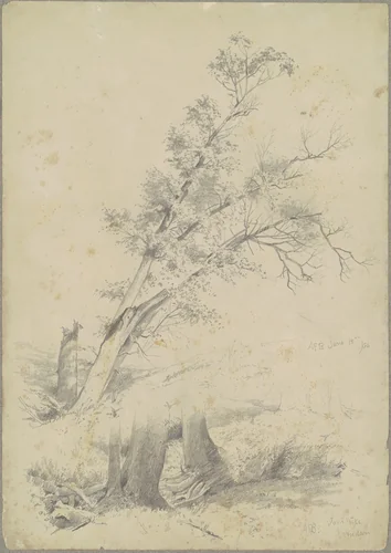 Trees, Hudson by Andrew Fisher Bunner, drawing, 1866