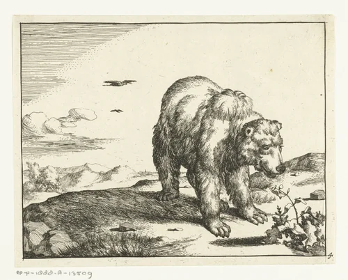 Staande beer bij plant by Marcus de Bye, print, 1664