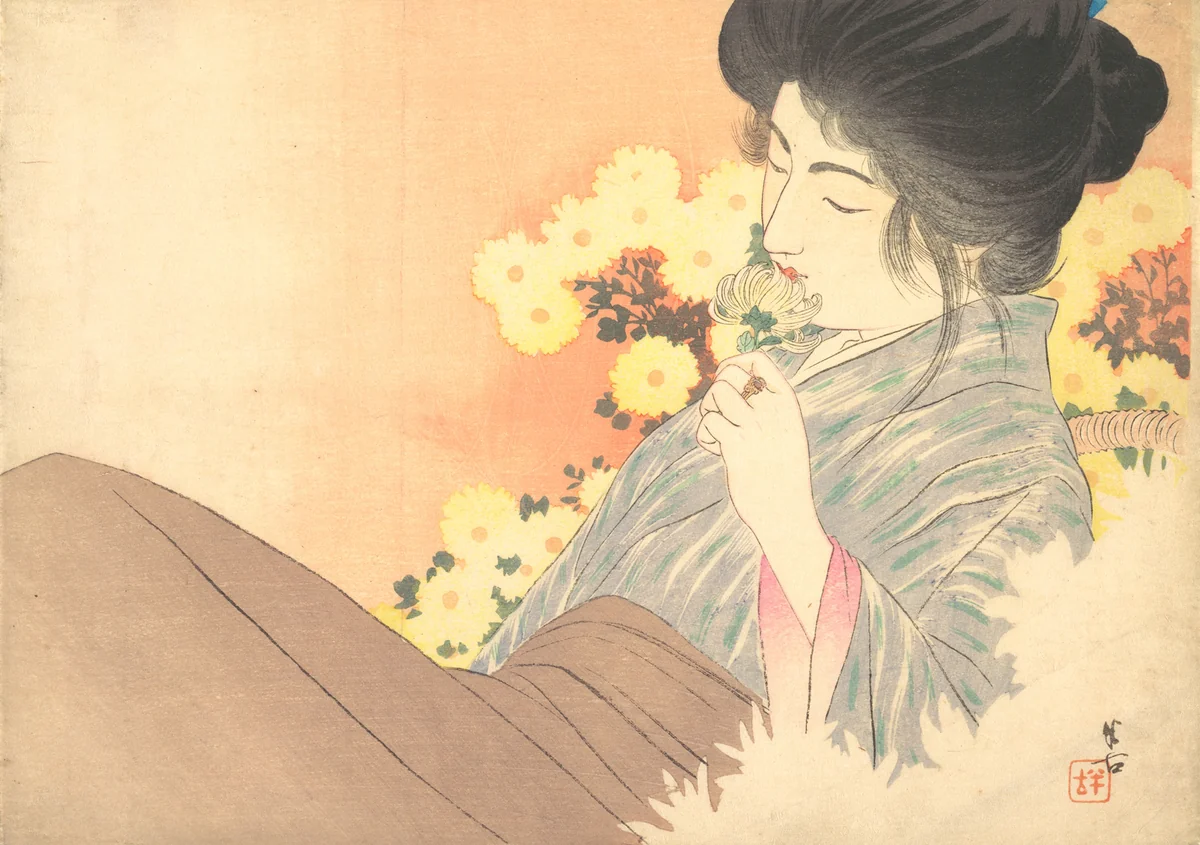 White Chrysanthemums (kiku no kaori by Kajita Hanko, print, 1902