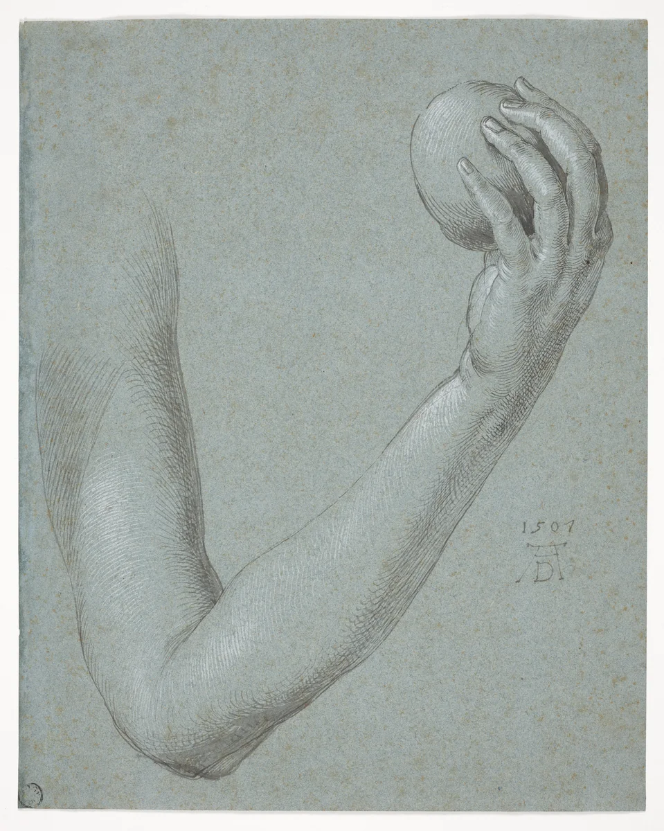 Arm of Eve by Albrecht Dürer, drawing, 1507