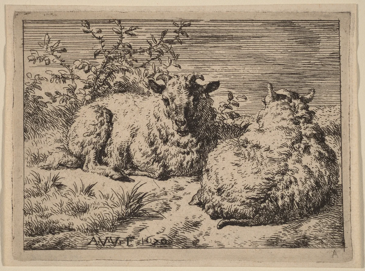 Two Recumbent Sheep by Adriaen van de Velde, print, 1670