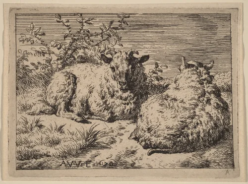 Two Recumbent Sheep by Adriaen van de Velde, print, 1670