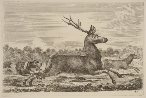Deer Chased by Two Dogs to the Left by Stefano della Bella, print, 1610-1664