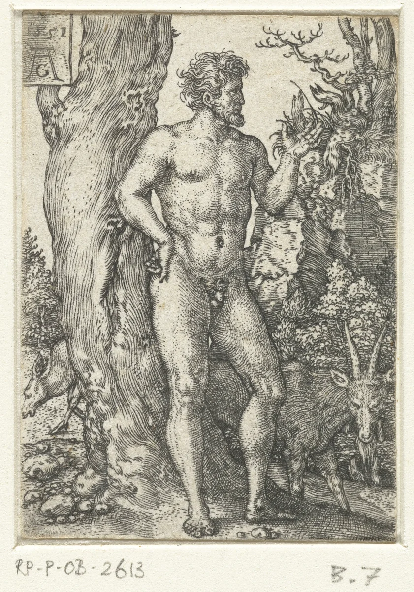 Adam by Unknown, print, 1551
