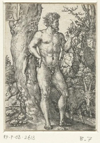 Adam by Unknown, print, 1551
