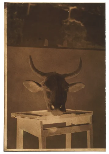 [Still Life] by Louis-Rémy Robert, photograph, 1850